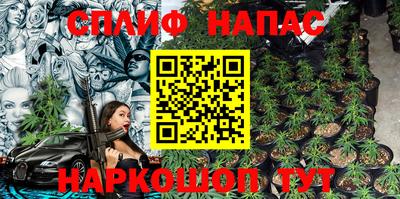 гидра Заводоуковск