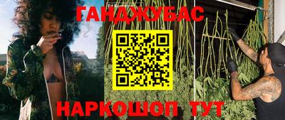 гидра Заводоуковск